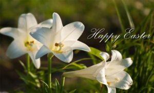 happy easter lily image